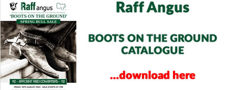 Raff Angus Boots on the Ground Catalogue 2023