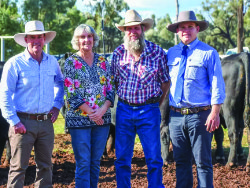 Raff Angus Bull Sale 2024