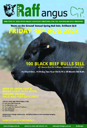 Raff Angus Bull Sale Catalogue