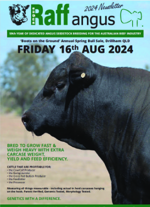Beef Central - Raff Angus news