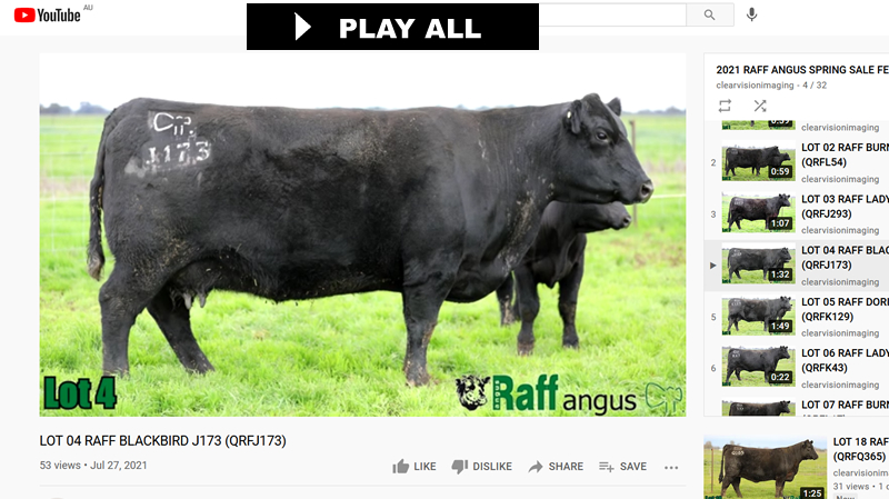 Raff Angus Sale Catalogue Video