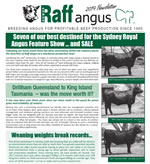 Raff Angus 2019 Newsletter