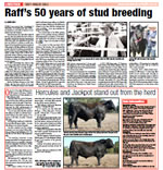 Raff Angus 50 years of stud breeding
